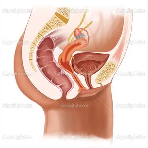 Prevention Of Urinary Tract Infections - Detection, Diagnosis And Treatment Of Kidney Infections